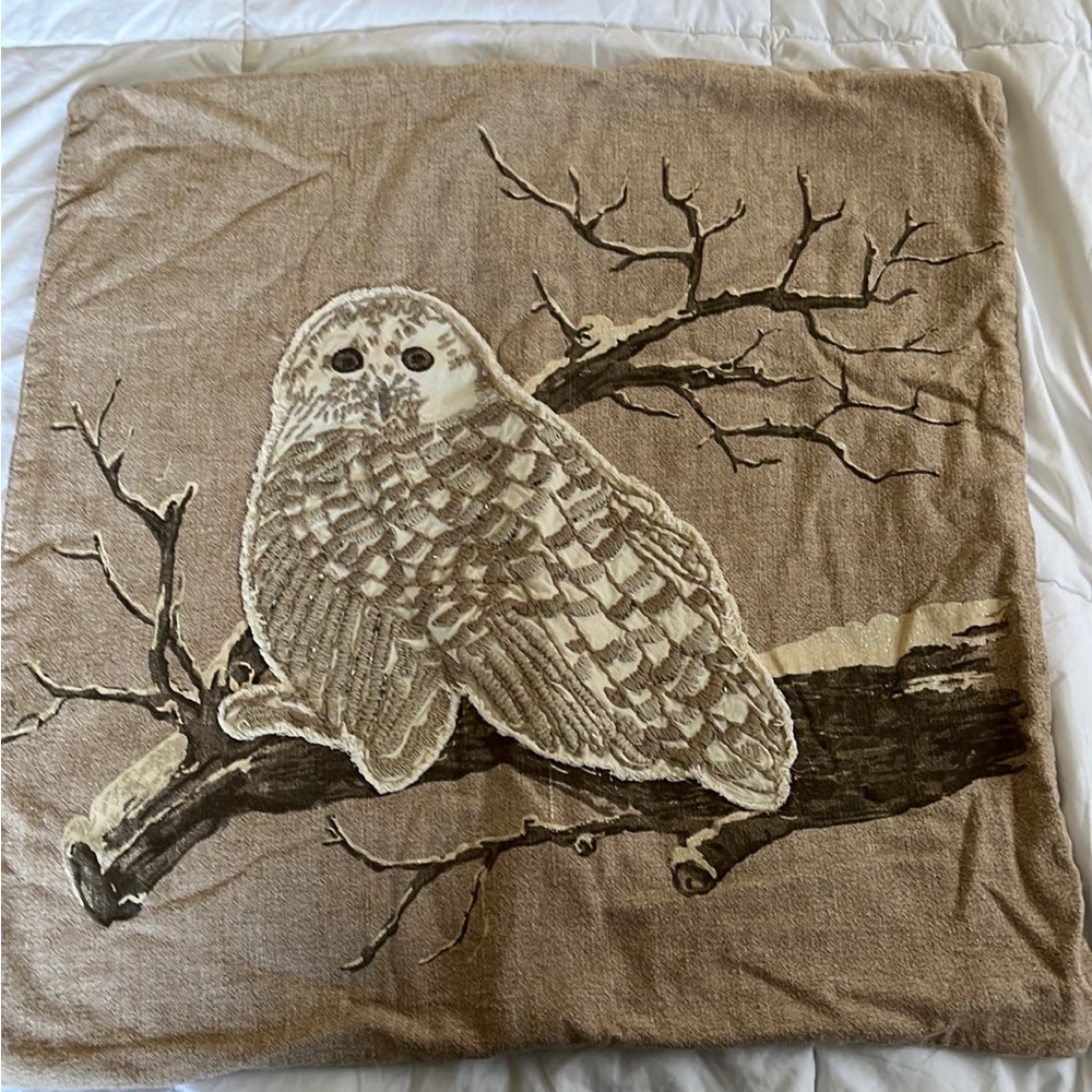 Pottery Barn Owl Pillow Cover